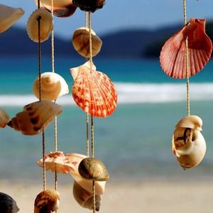 Meet your Posher, Rae